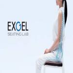 Redefining sitting comfort - EXGEL