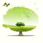 เครื่องฟอกอากาศ Cology